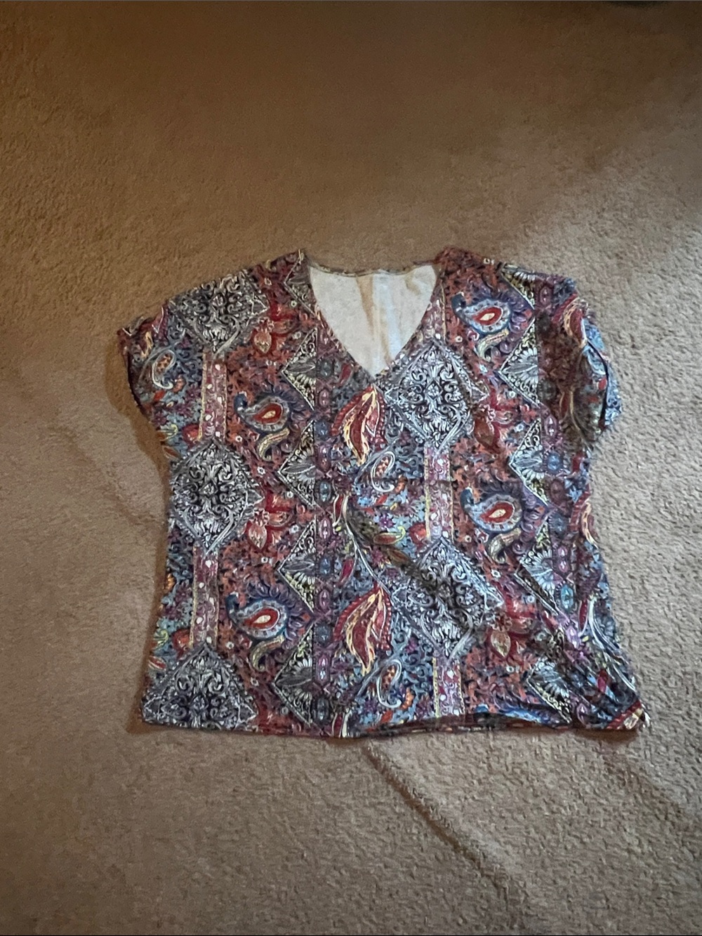 Women's Multicolor Paisley V-Neck Top